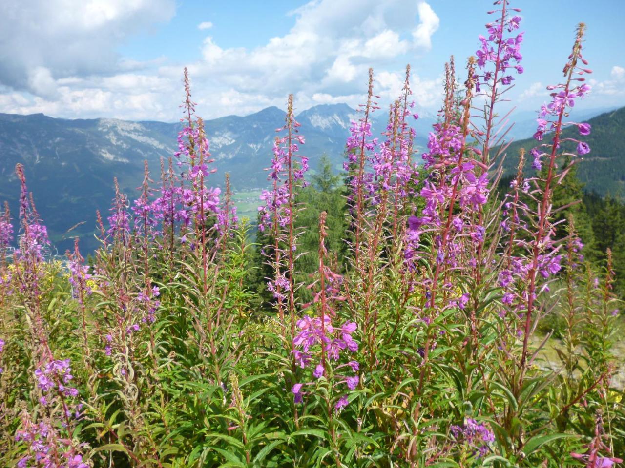 Ferienhaus Untergladner Schladming Kültér fotó